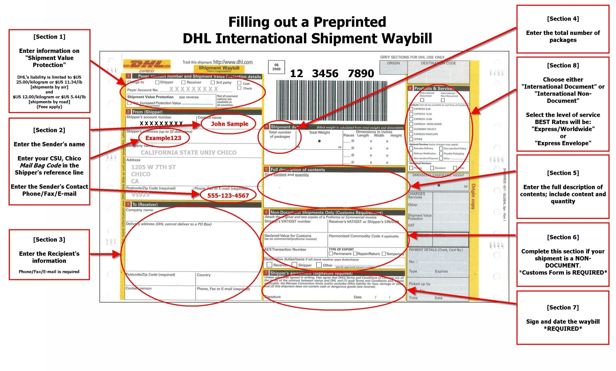 DHL Commercial Invoice Printable Template Holfdi