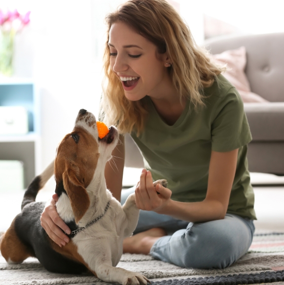 Free Pet Sitting Invoice Templates