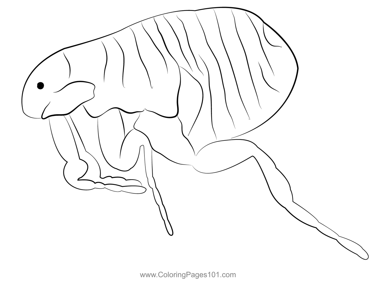 Free Printable Flea Market Invoice Form Printable Forms Free Online