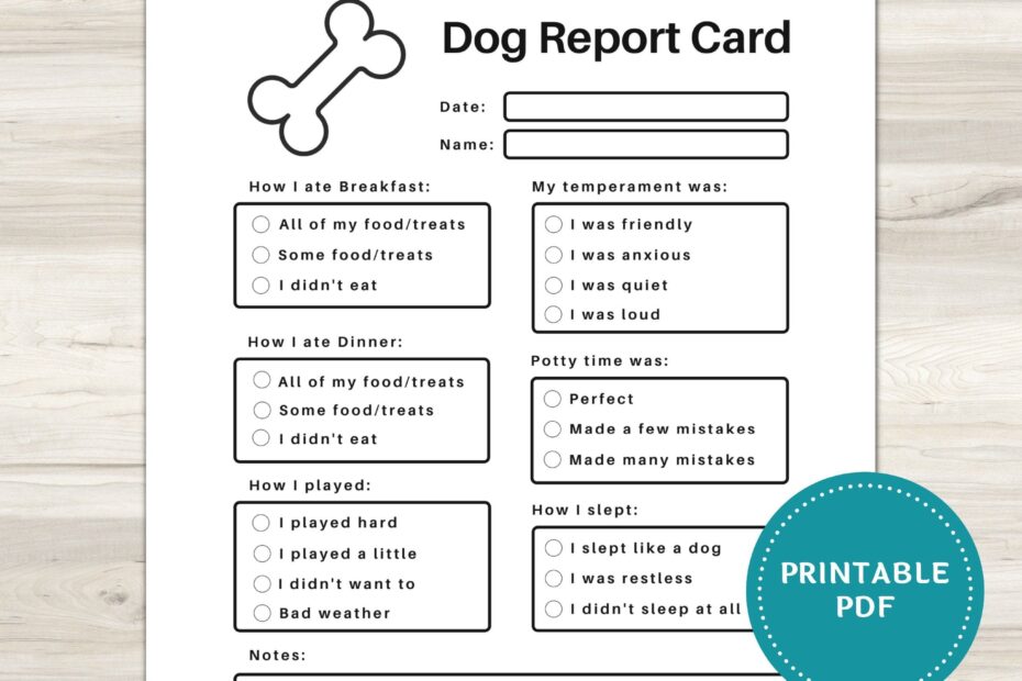 Pet Report Card Printable For Pet Sitter Business Dog Report Card Dog